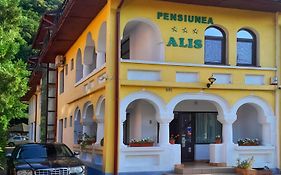 Pensiunea Alis